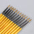 Sable Brush 4 (12 pcs)