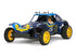 RC HOLIDAY BUGGY 2010