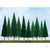 Scenic Pine, 1in to 2in, Z-Scale, (55 per pack)