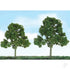 Scenic Deciduous, 3.5in to 4in, HO-Scale, (4 per pack)