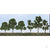 Deciduous Sycamore, 2.5in to 4.5in, N to HO-Scale, (40 per pack)