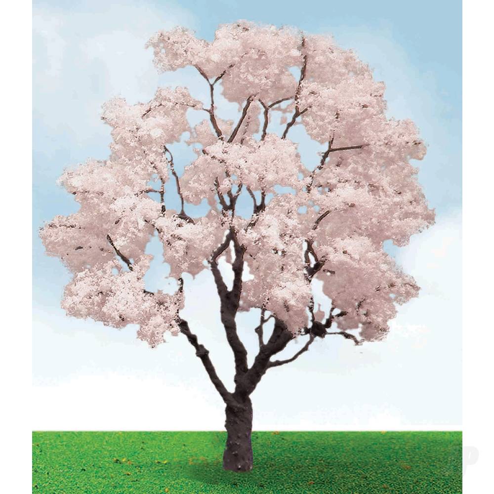 Blossom Cherry Tree, 3in to 3.5in, (2 per pack)