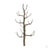 Sycamore Tree Armature, 4in, (3 per pack)