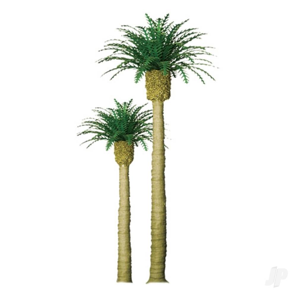 Phoenix Palm, 3in, (3 per pack)