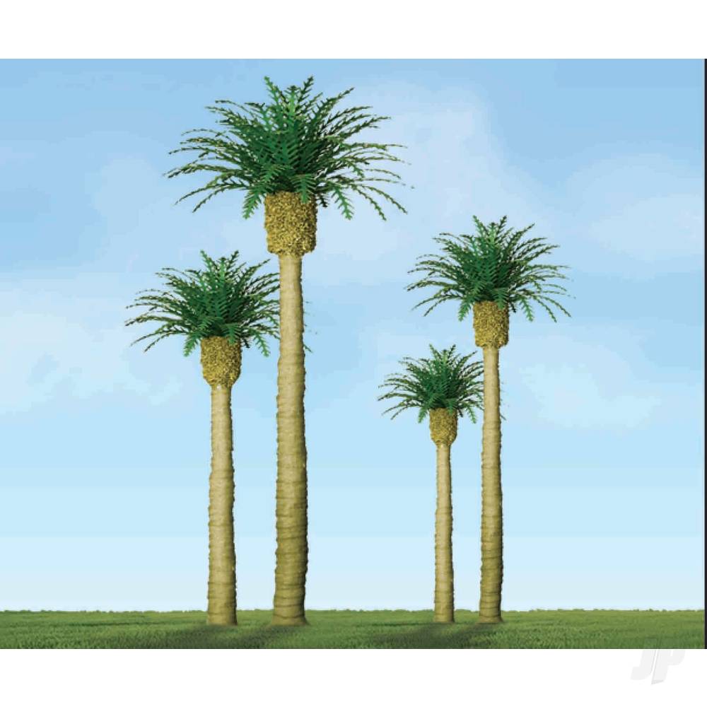 Phoenix Palm, 3in, (3 per pack)