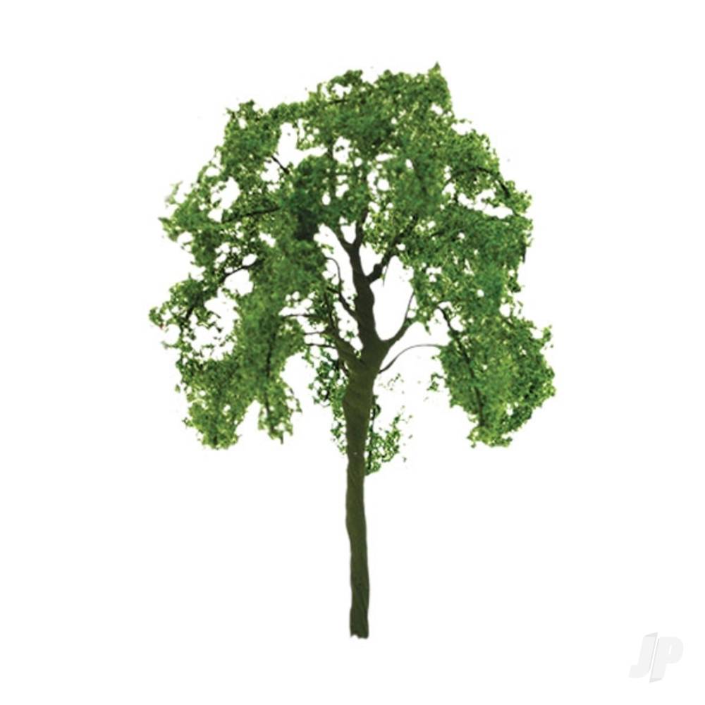 Ash Tree, 1in, (6 per pack)