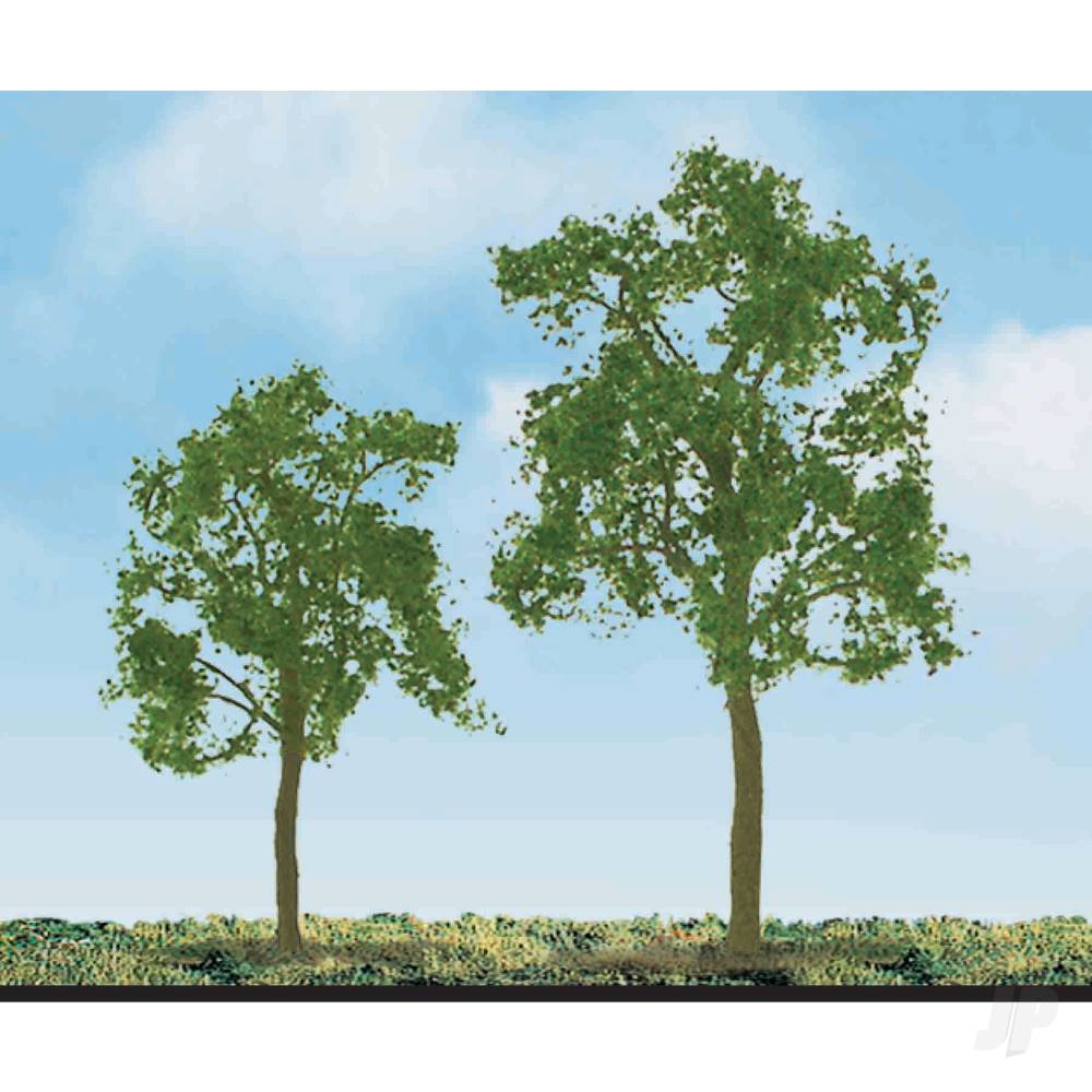 Ash Tree, 1-1/2in, (4 per pack)