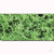 Coarse Foliage Clusters, Medium Green, 150 Sq. in