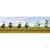 Assorted Flower Plants 4, HO-Scale, (12 per pack)