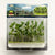 Woods Edge Trees, Pastel Green, HO-Scale, (14 per pack)