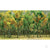 Woods Edge Trees, Fall Mixed, N-Scale, (15 per pack)