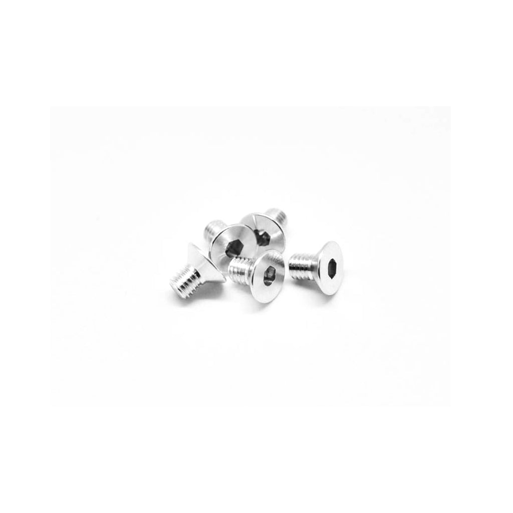 Alu Screw Allen Csk M3 x 5 Silver (5)