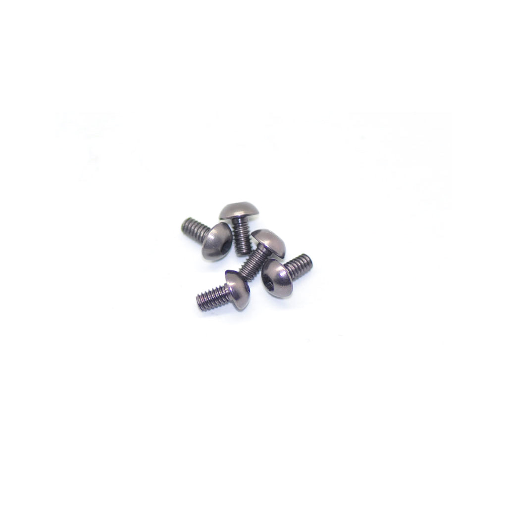 Alu Screw Allen Roundhead M2 x 4 Grey (5)