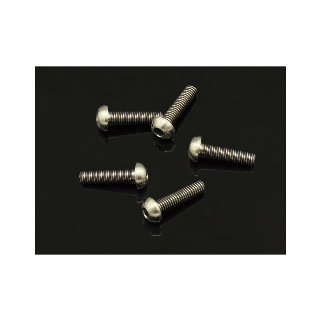 64 Ti Screw Allen Round Head M3 x 12  (5)