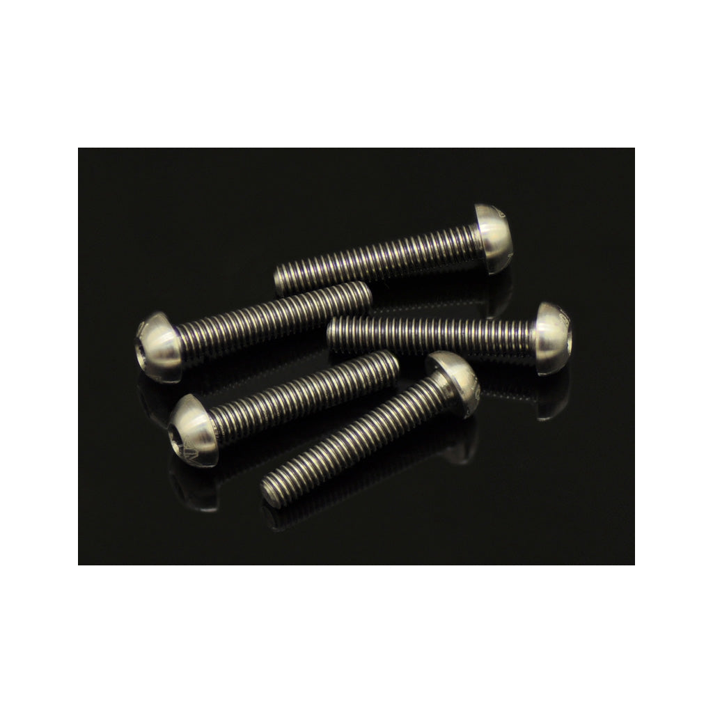 64 Ti Screw Allen Round Head M3 x 16  (5)