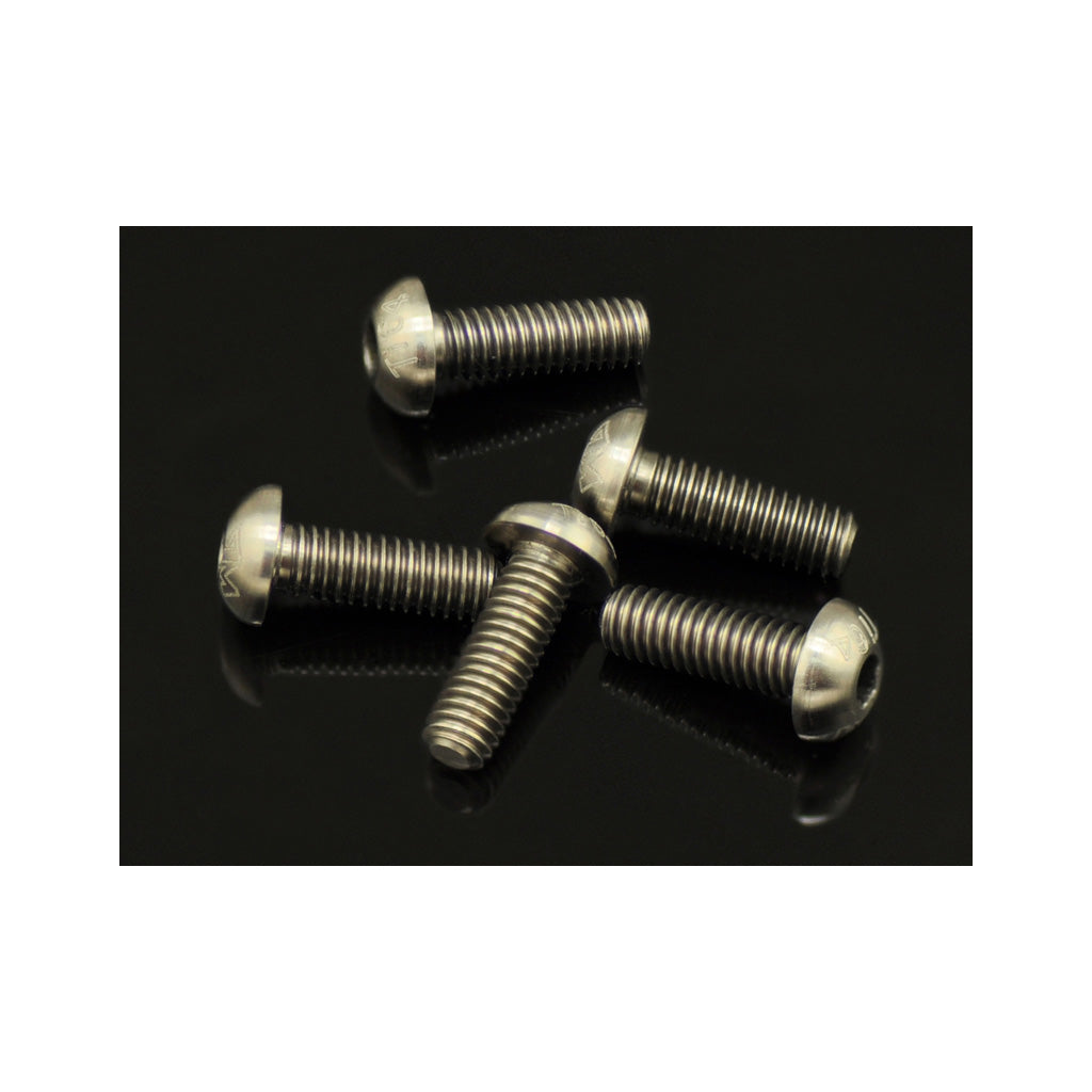 64 Ti Screw Allen Round Head M4 x 12  (5)