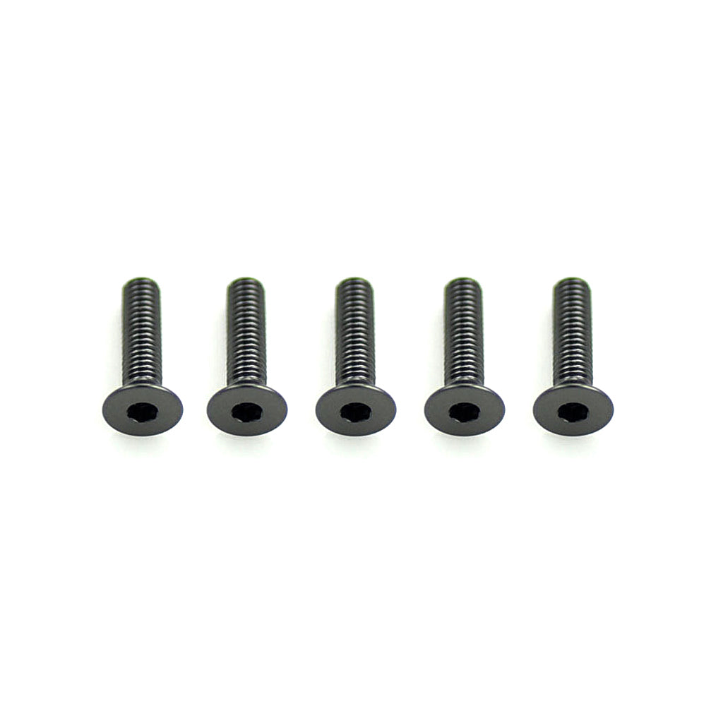 Alloy Csk Hex Screws M3 x 12 pk10