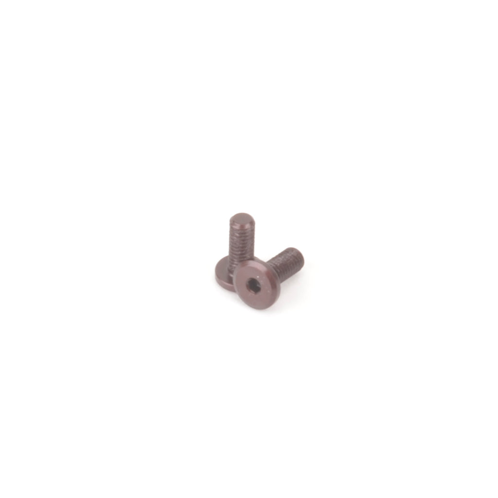 SPEED PACK Servo Screws (2pcs)